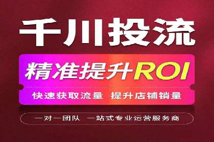 网络推广竞价实战案例分析集